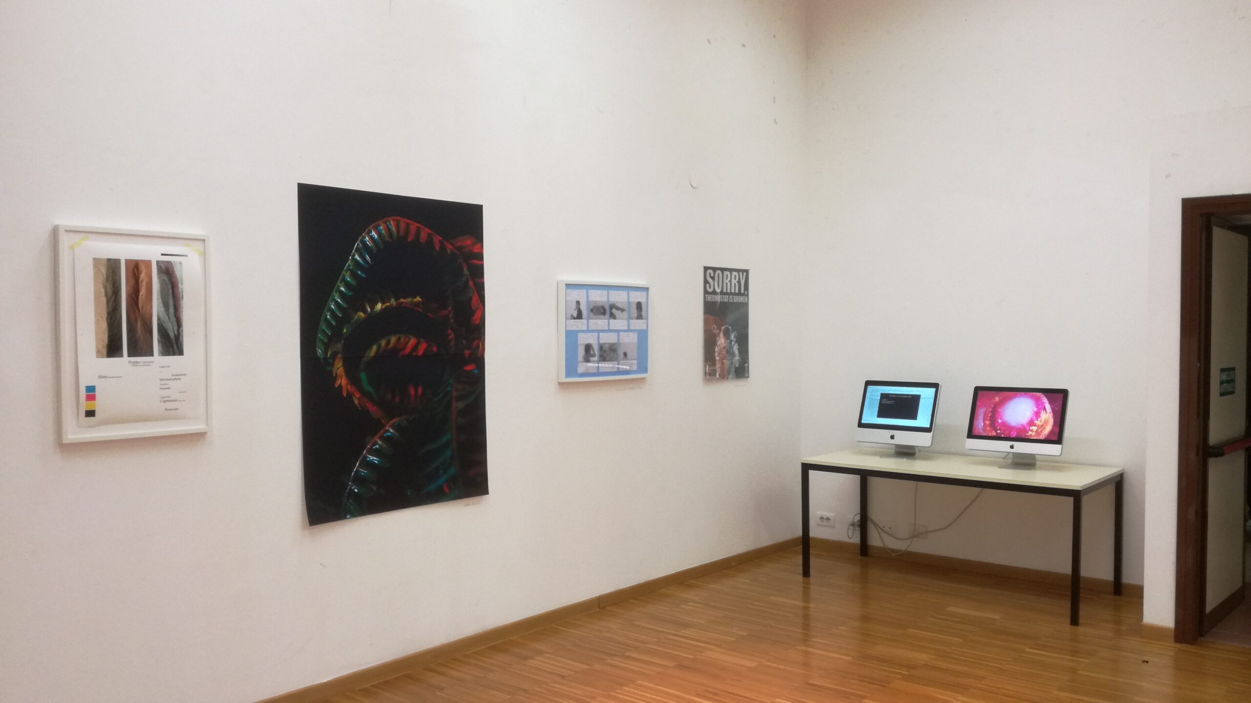 Mostra in accademia